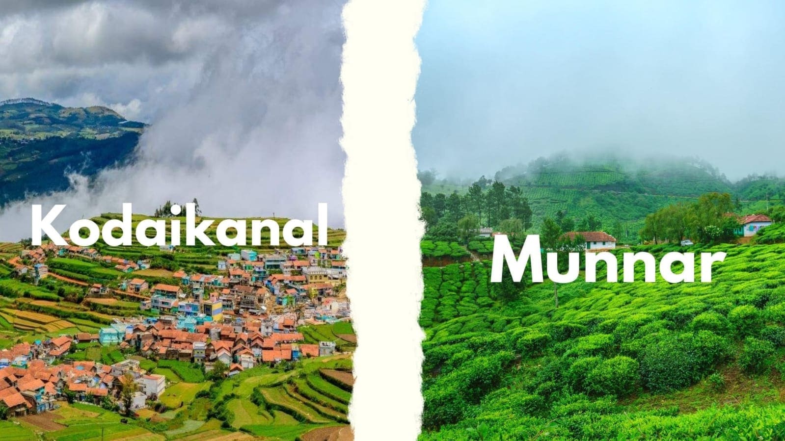 Munnar Tour Package