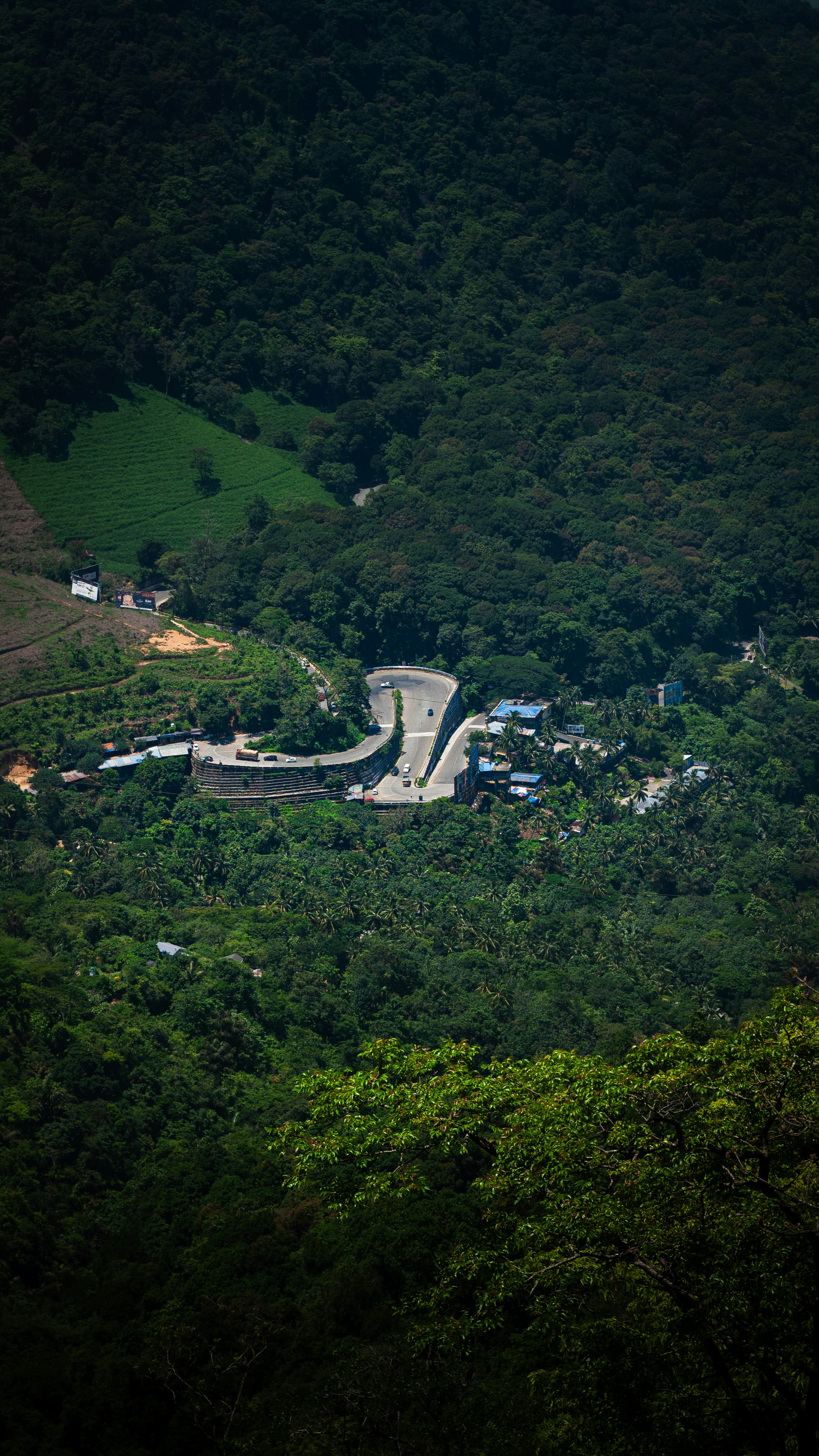 Wayanad Tour Package